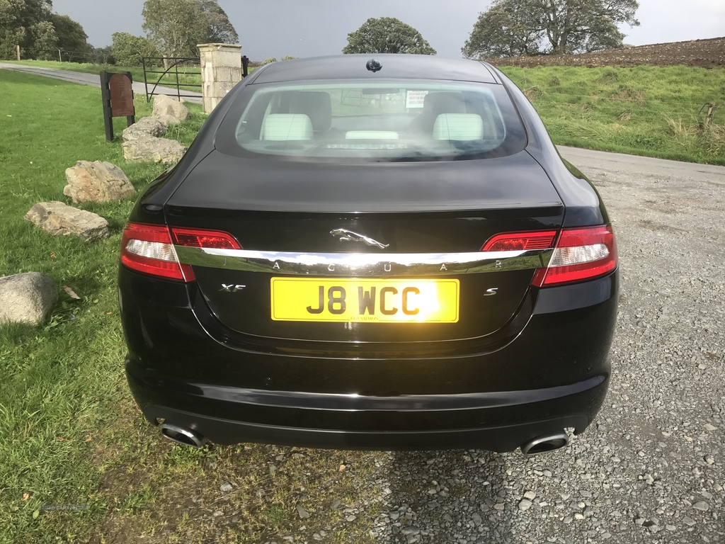 Jaguar XF S PREMIUM LUXURY V6 A in Down