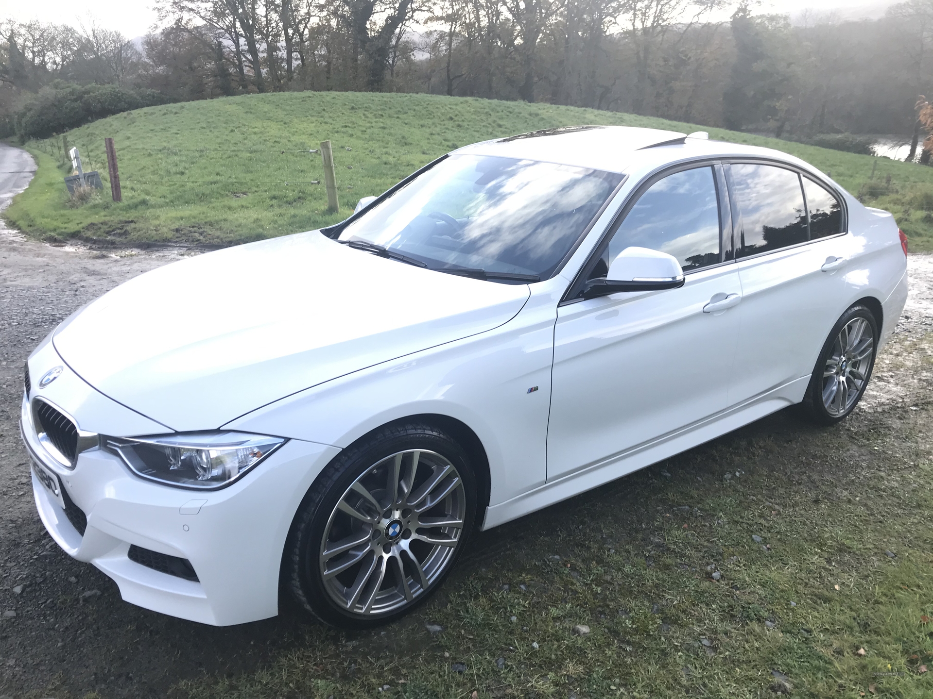 BMW 3 Series M SPORT in Down