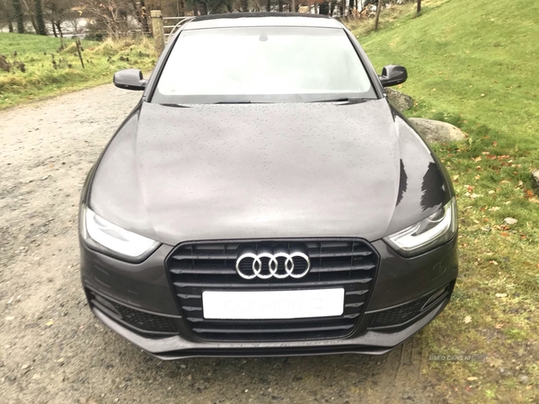 Audi A4 S LINE BLACK EDITION T in Down