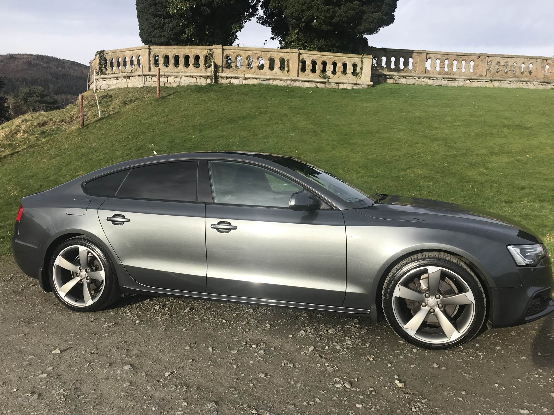 Audi A5 S LINE BLACK ED TDI QU in Down