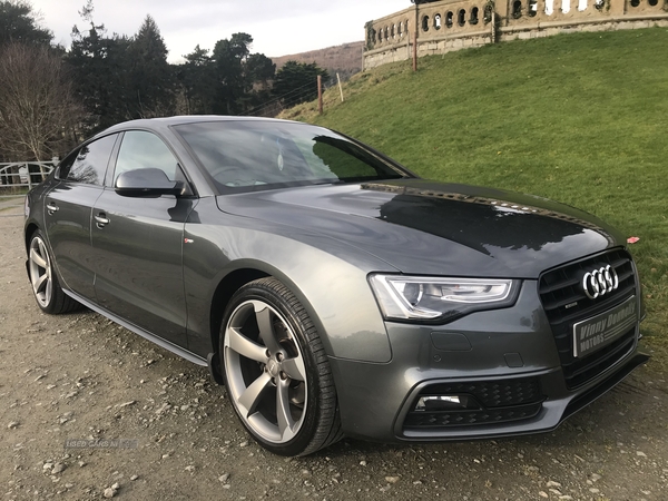 Audi A5 S LINE BLACK ED TDI QU in Down