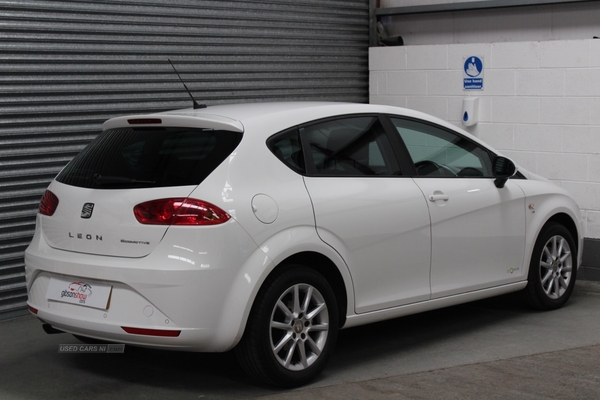 Seat Leon SE COPA TSI in Antrim