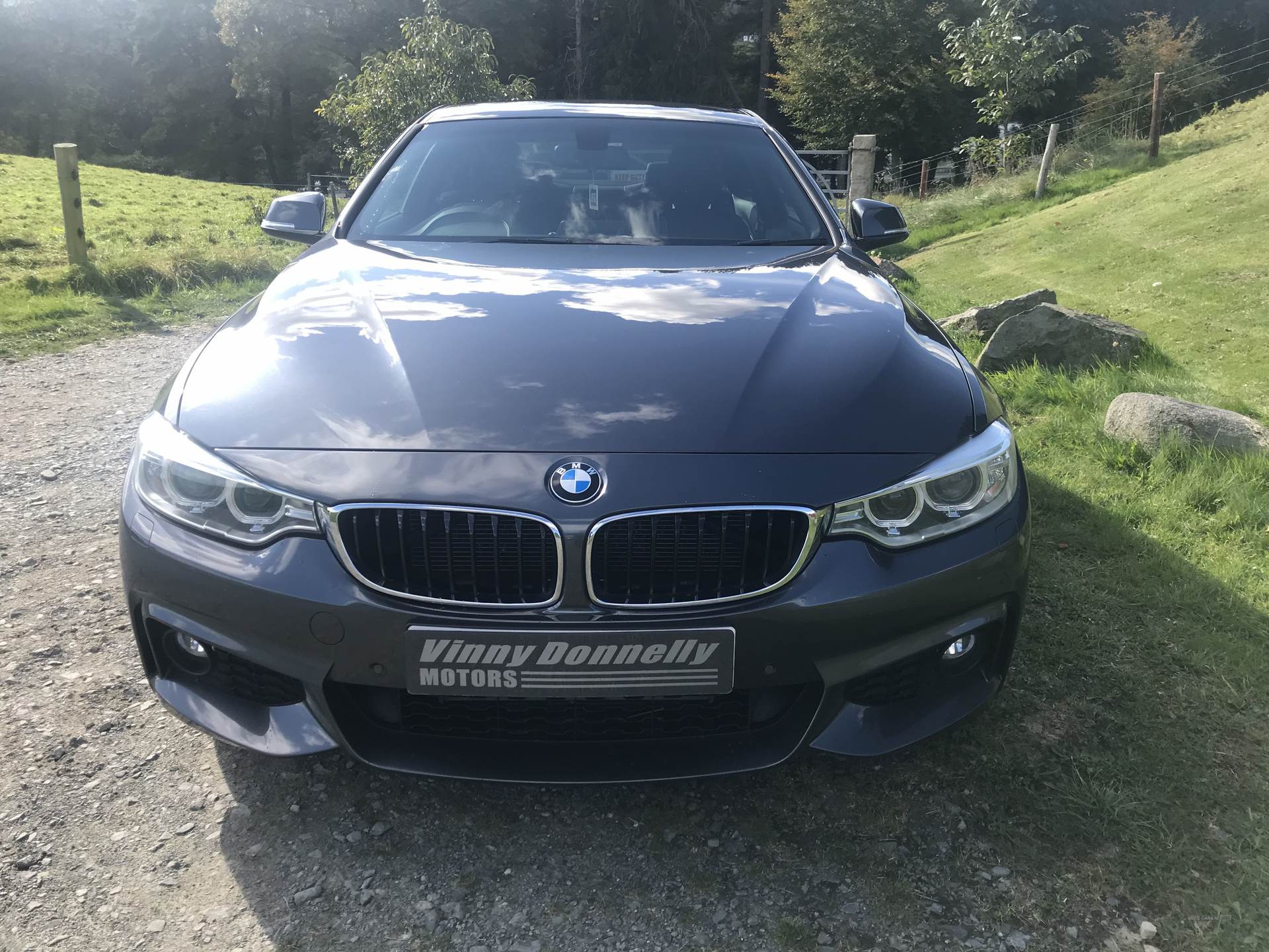 BMW 4 Series M SPORT AUTO in Down