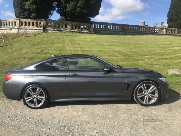 BMW 4 Series M SPORT AUTO in Down