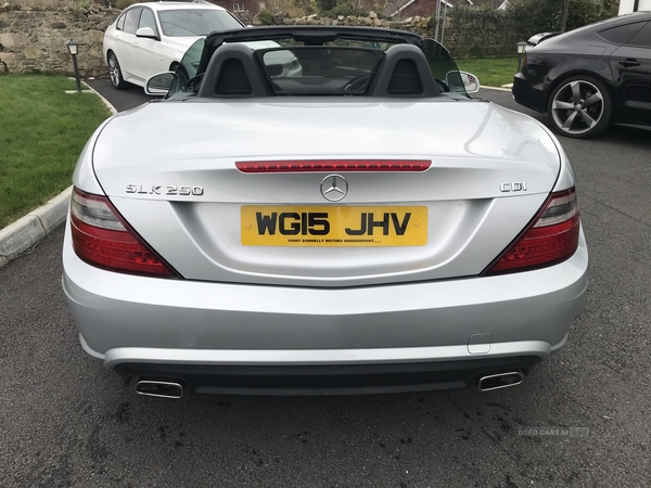 Mercedes SLK-Class SLK 250 CDI AMG SPORT in Down