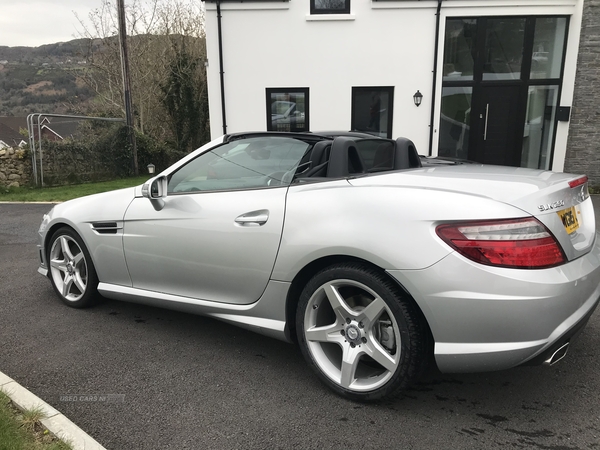 Mercedes SLK-Class SLK 250 CDI AMG SPORT in Down