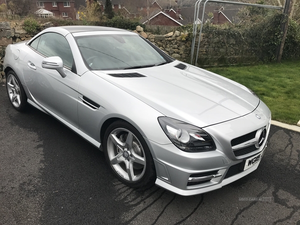 Mercedes SLK-Class SLK 250 CDI AMG SPORT in Down