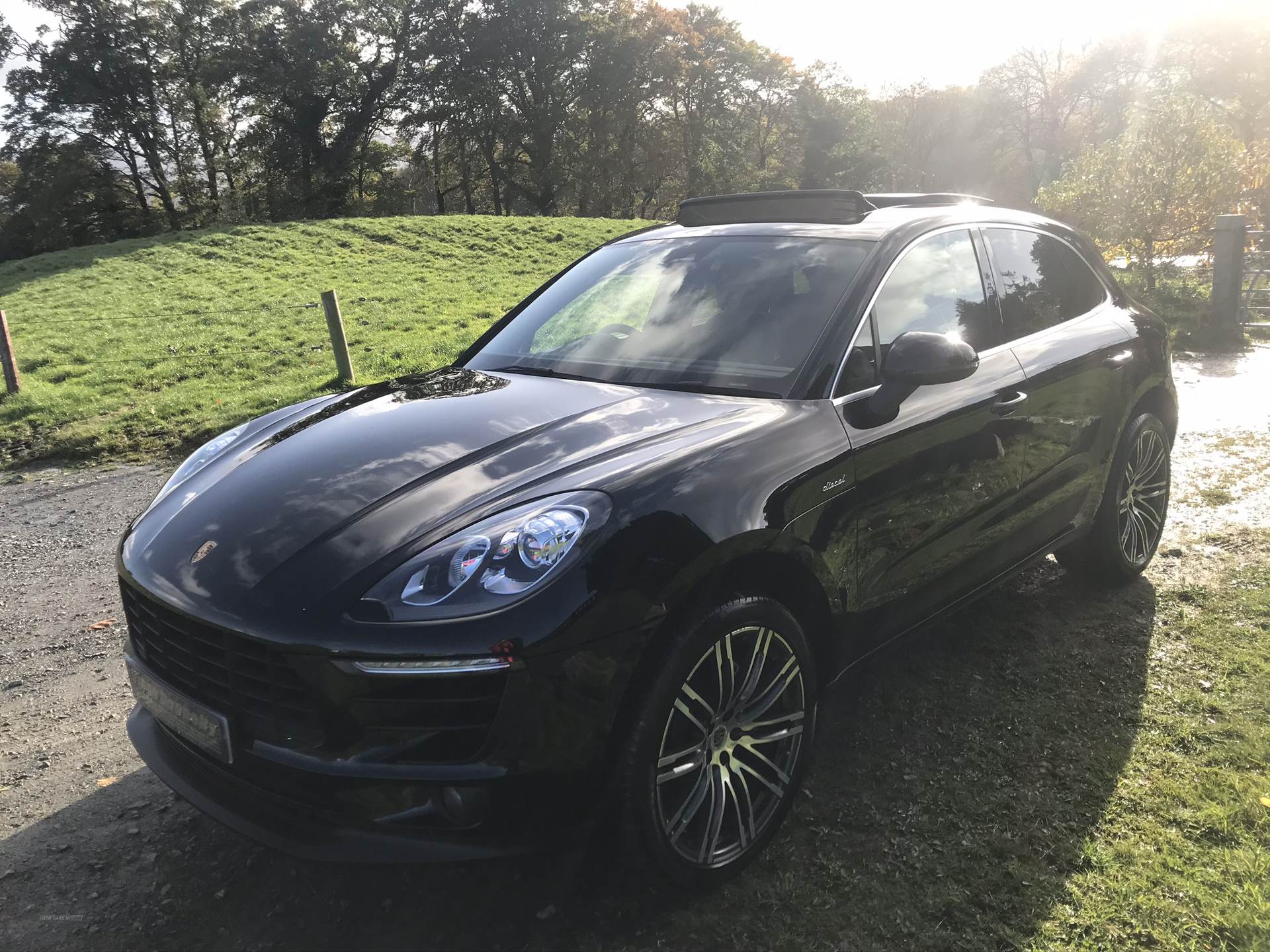 Porsche Macan S D S-A in Down