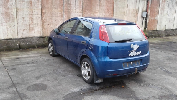 Fiat Punto in Armagh