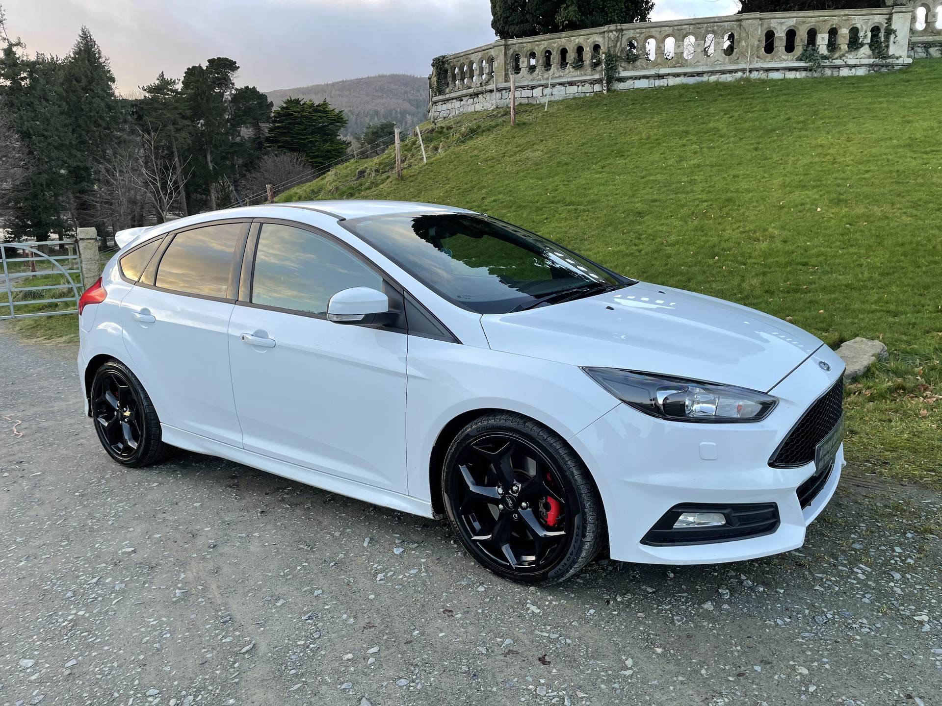 Ford Focus ST-3 TDCI AUTO in Down