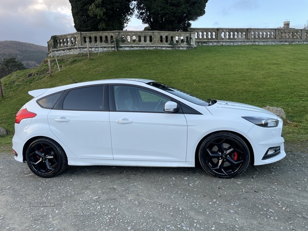 Ford Focus ST-3 TDCI AUTO in Down