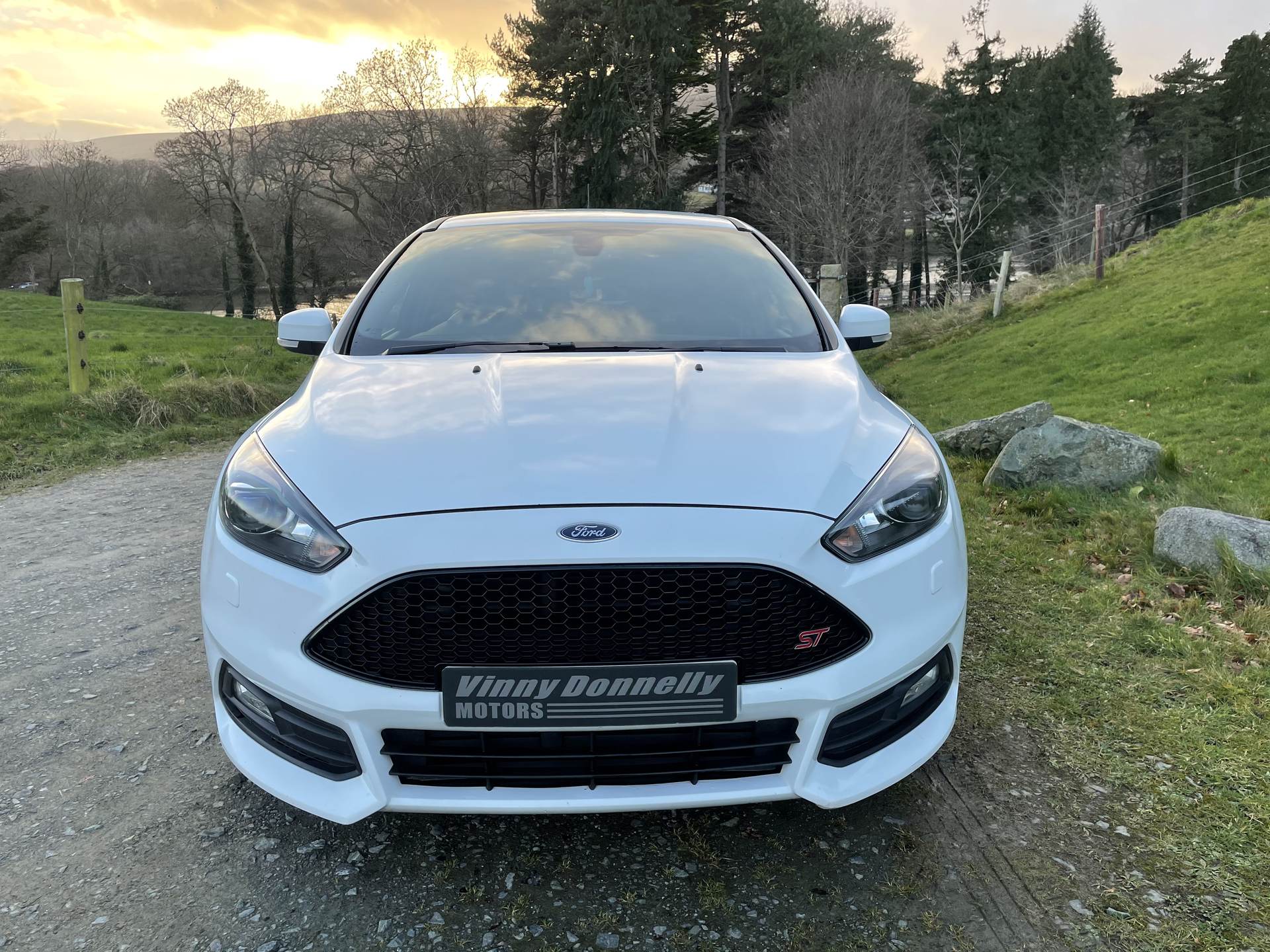 Ford Focus ST-3 TDCI AUTO in Down