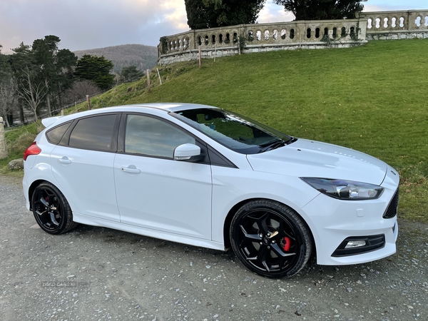 Ford Focus ST-3 TDCI AUTO in Down