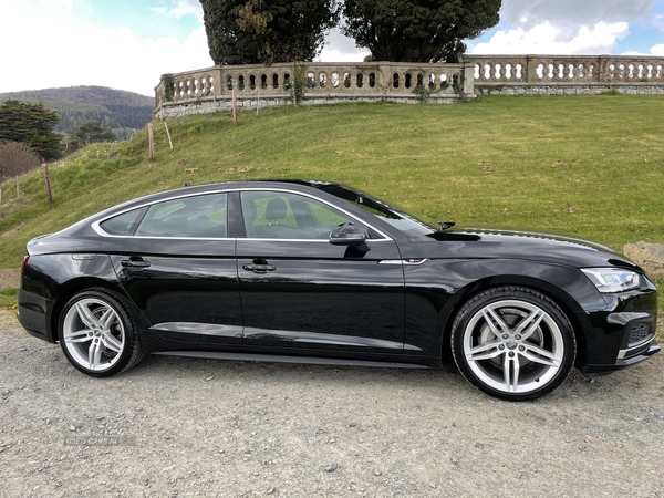 Audi A5 S LINE 40 TDI S-A in Down