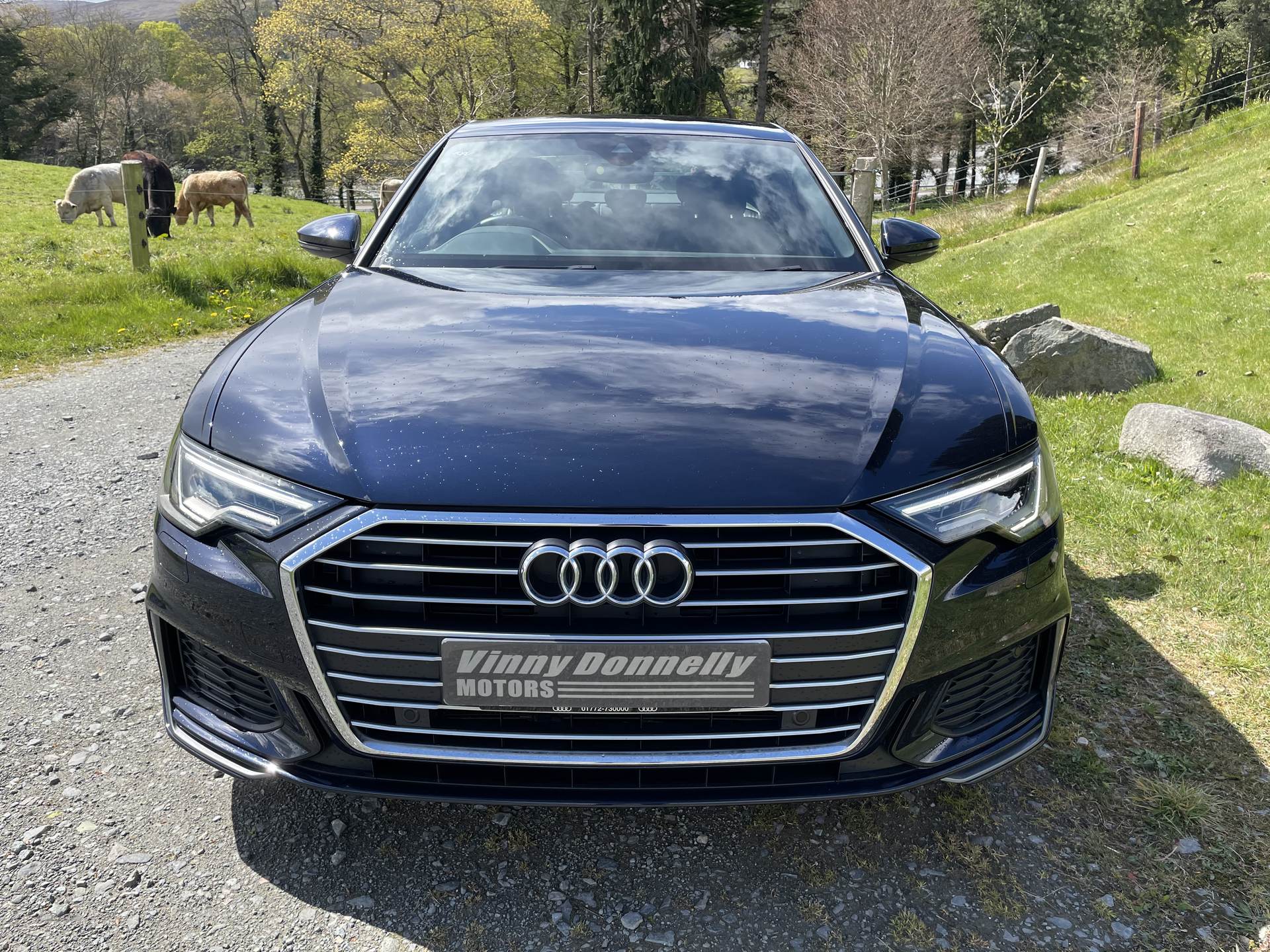 Audi A6 S LINE 40 TDI S-A in Down