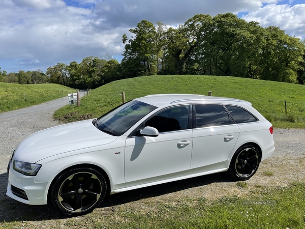 Audi A4 S LINE TDI in Down