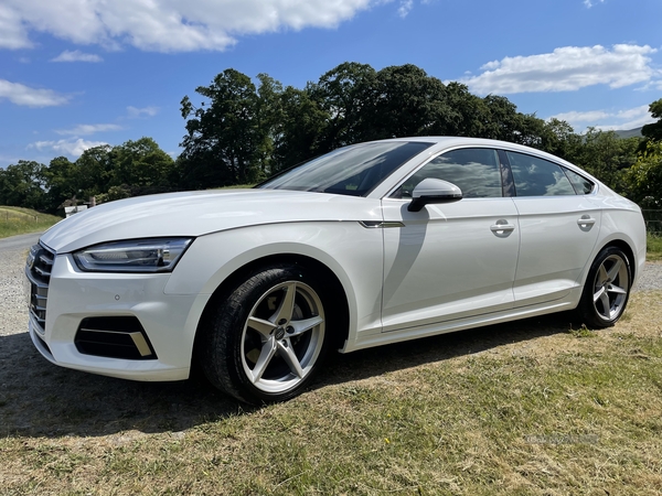 Audi A5 SPORT 40 TDI S-A in Down