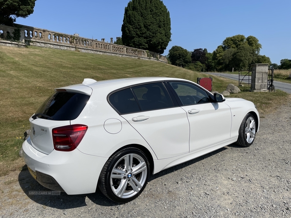 BMW 1 Series M SPORT in Down