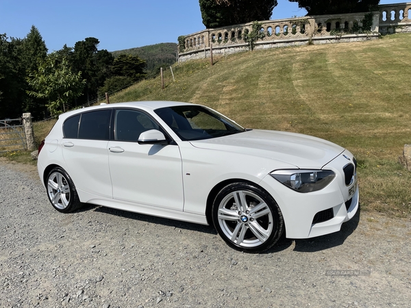 BMW 1 Series M SPORT in Down