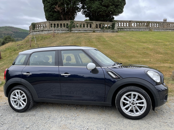 MINI Countryman SD in Down