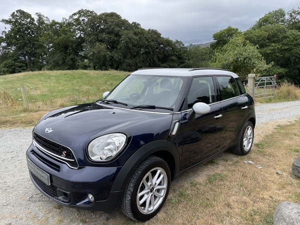 MINI Countryman SD in Down