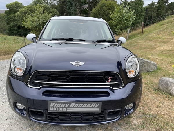 MINI Countryman SD in Down