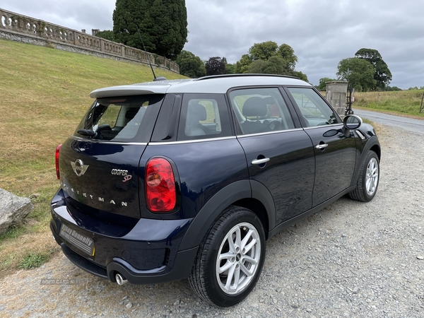 MINI Countryman SD in Down