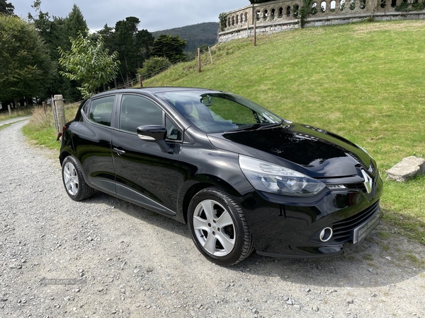 Renault Clio EXPRESSION PLUS 16V in Down