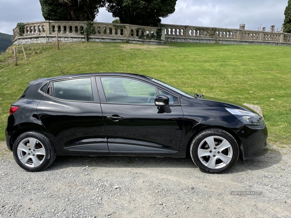 Renault Clio EXPRESSION PLUS 16V in Down