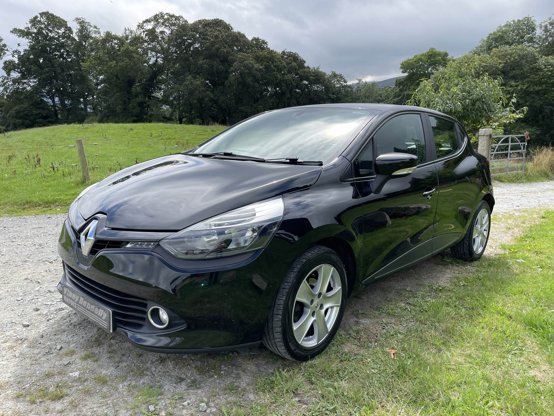 Renault Clio EXPRESSION PLUS 16V in Down