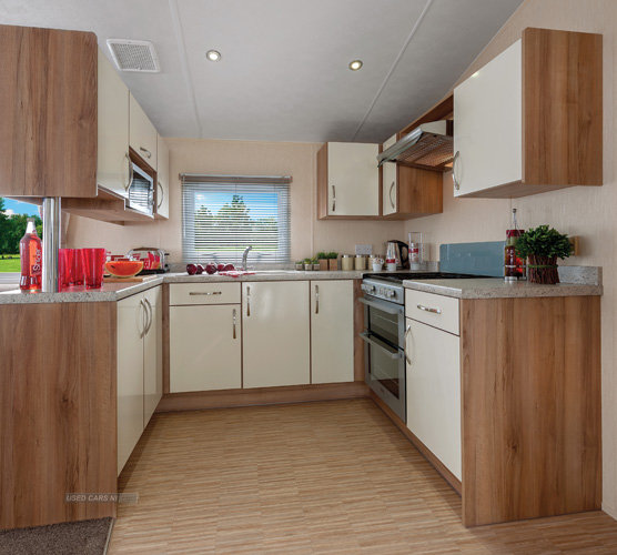 Willerby Rio Gold (Free site fees for 2013 season) in Down