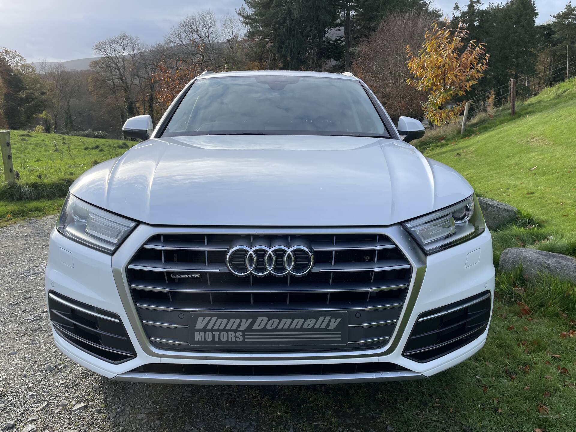 Audi Q5 DIESEL ESTATE in Down