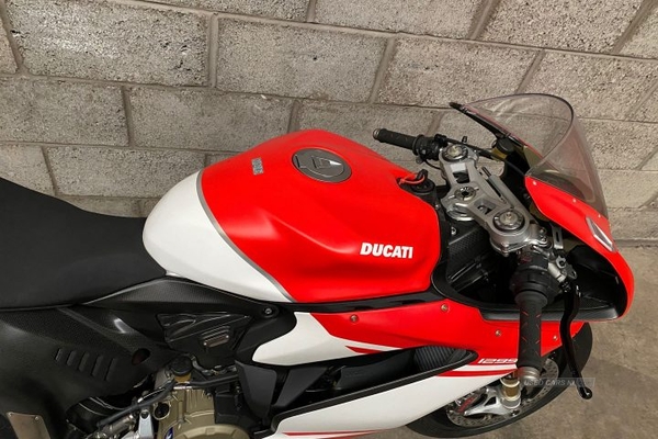 Ducati 1299 SUPERLEGGERA - 2017 in Armagh