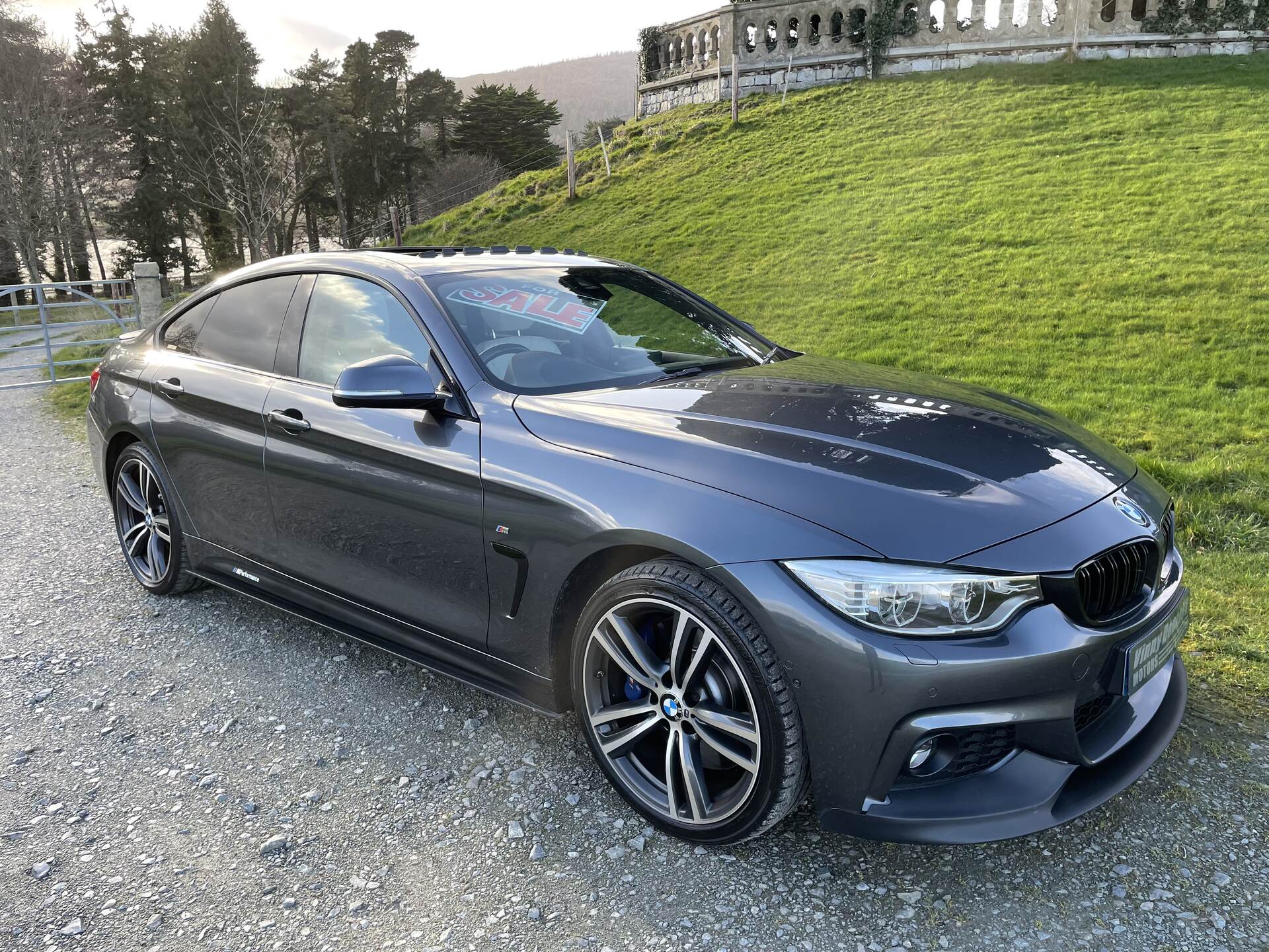 BMW 4 Series GRAN DIESEL COUPE in Down