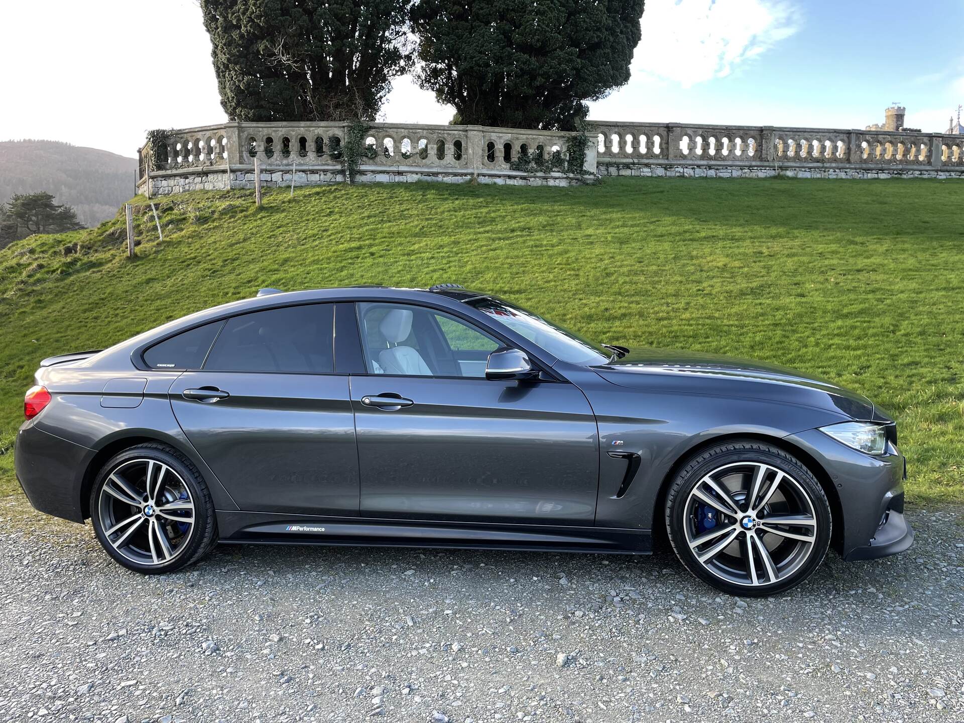 BMW 4 Series GRAN DIESEL COUPE in Down