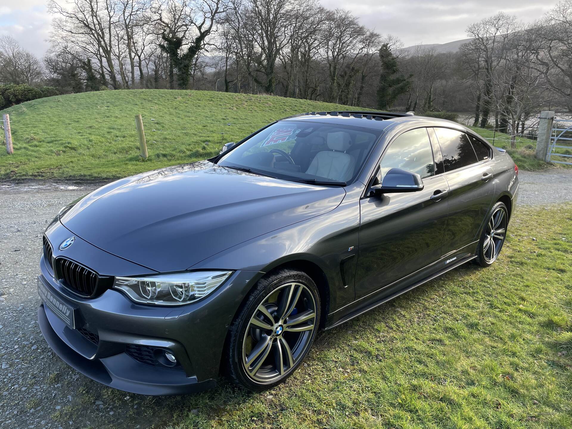 BMW 4 Series GRAN DIESEL COUPE in Down