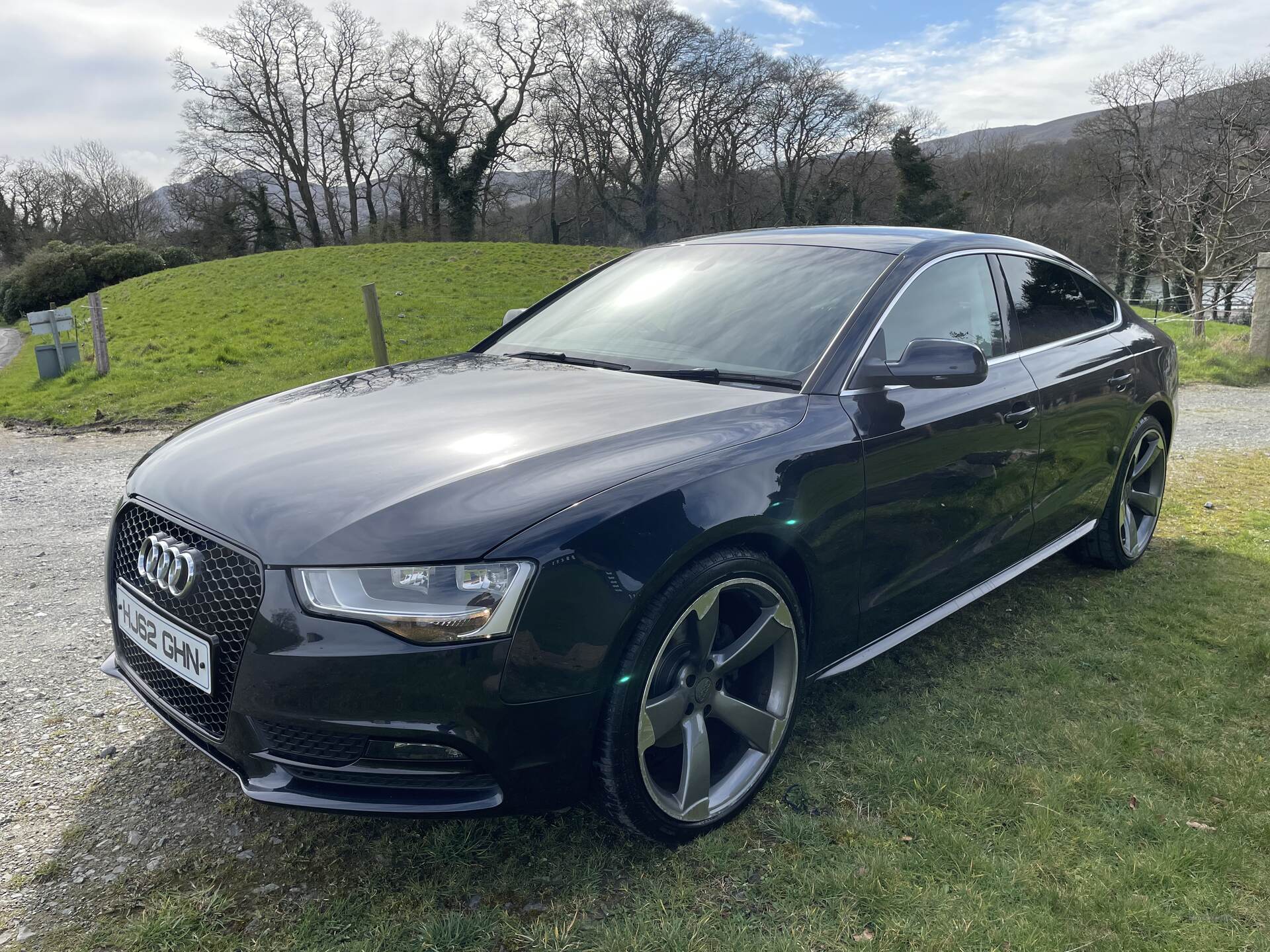 Audi A5 DIESEL SPORTBACK in Down