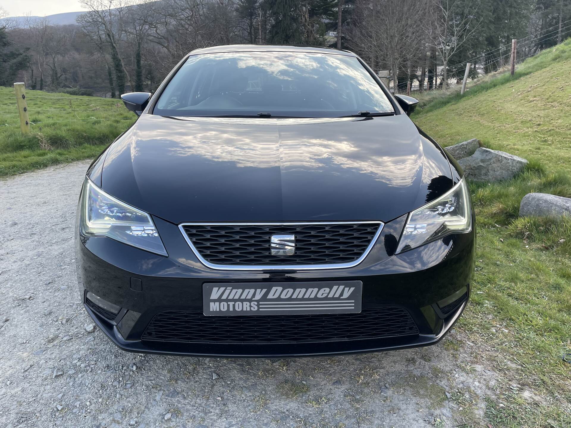 Seat Leon HATCHBACK in Down