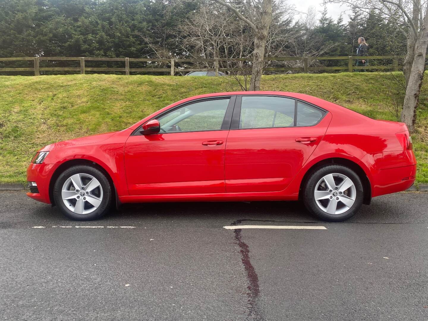 Skoda Octavia HATCHBACK in Down