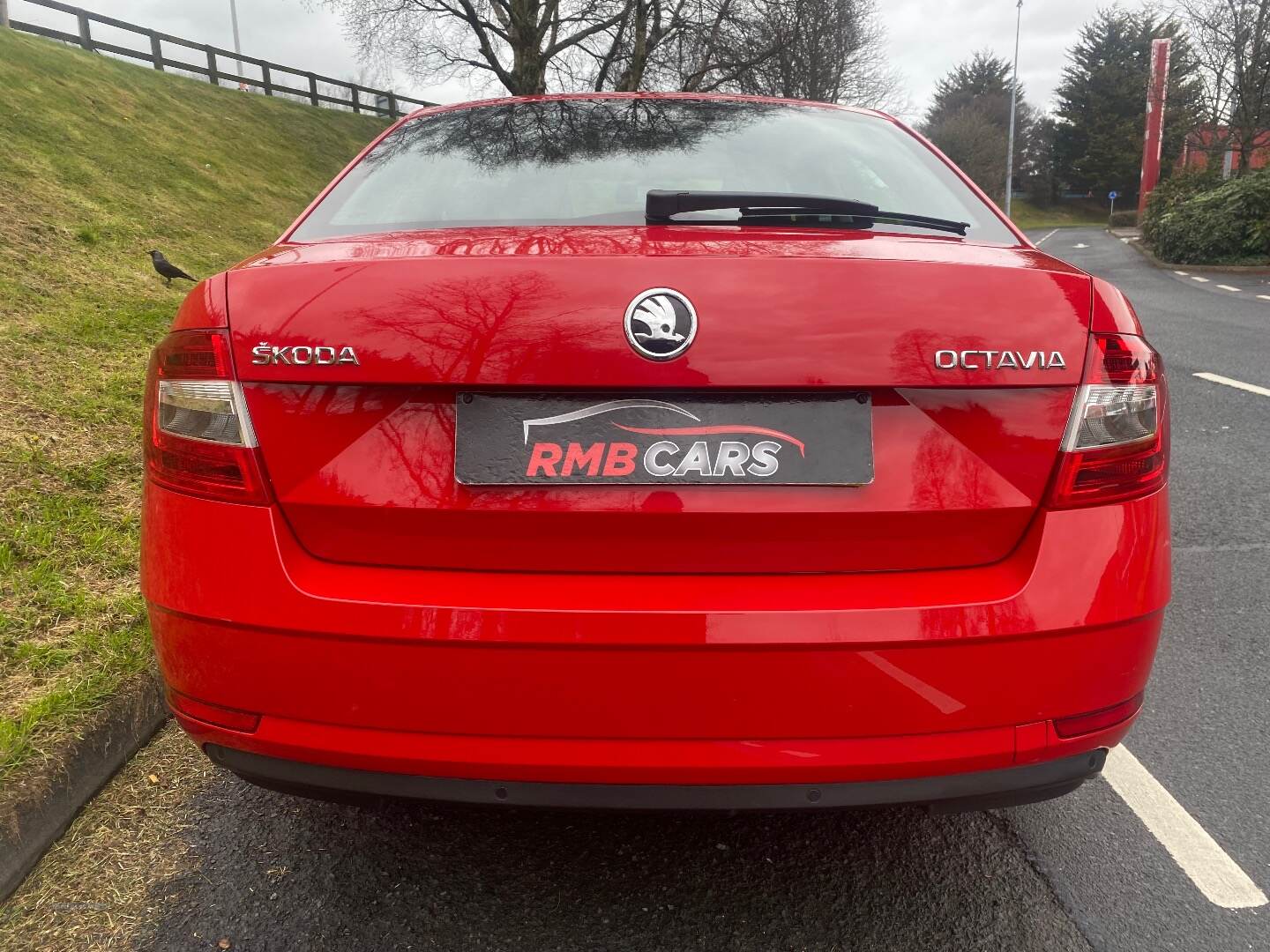 Skoda Octavia HATCHBACK in Down