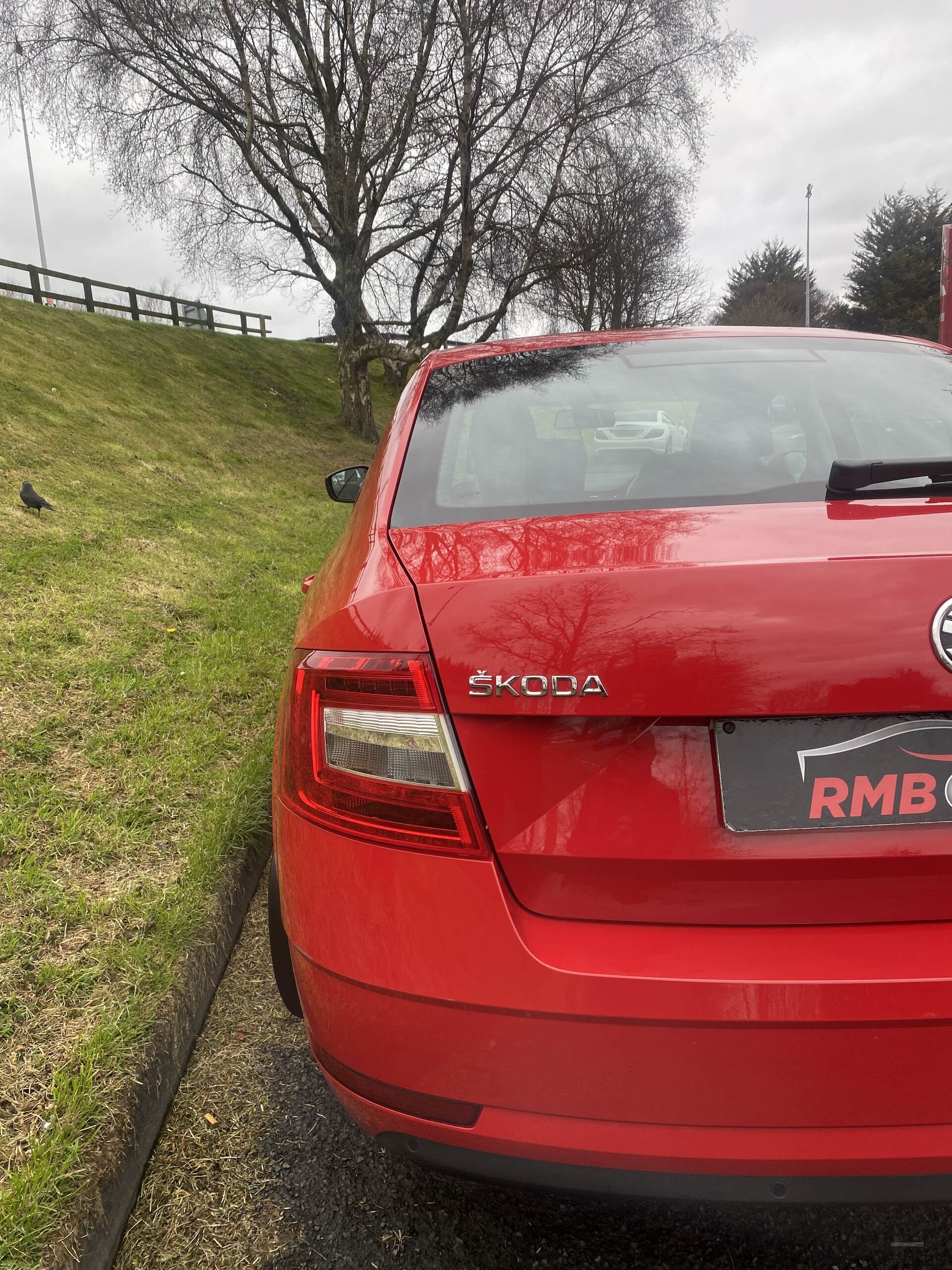 Skoda Octavia HATCHBACK in Down