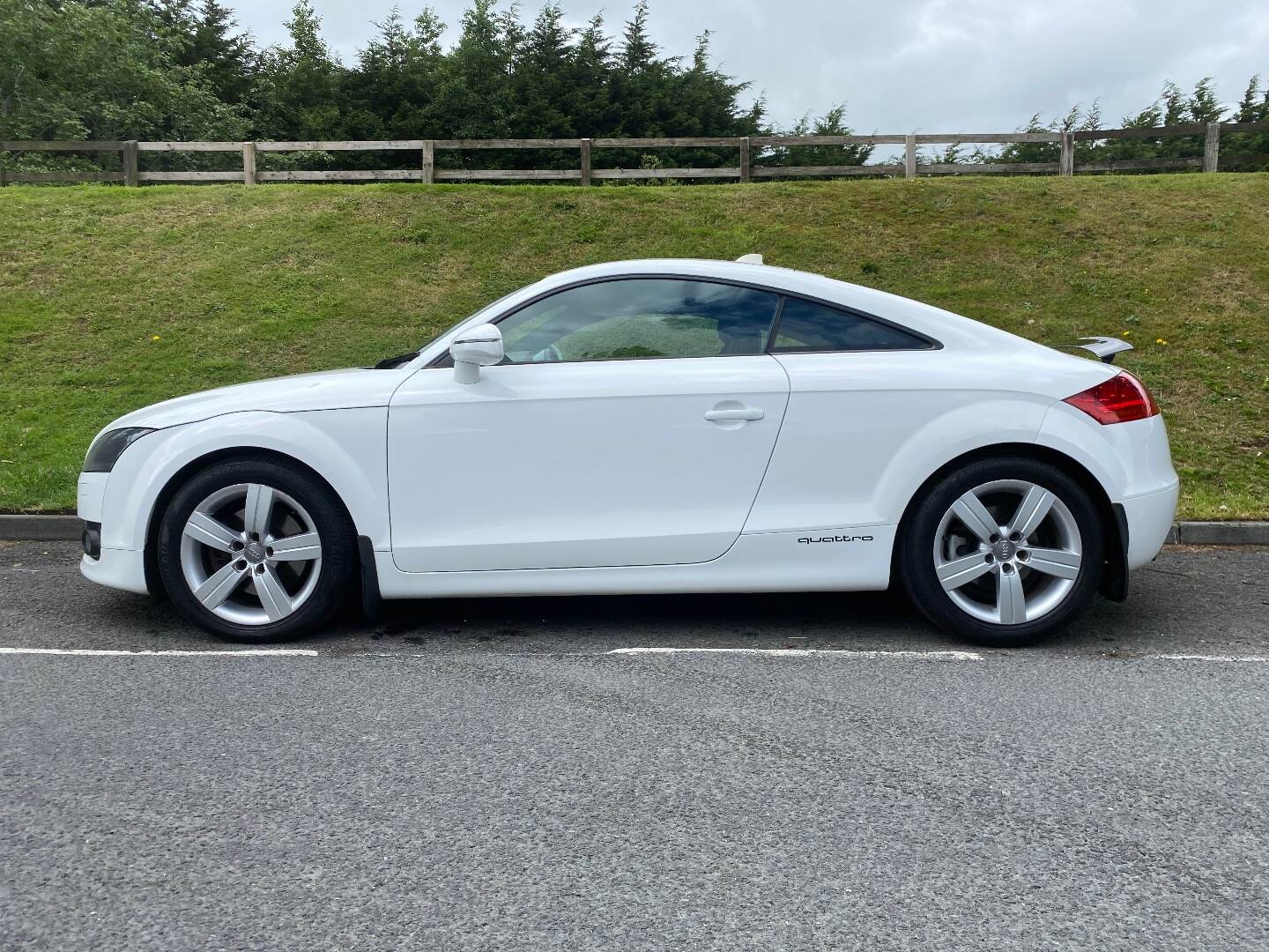 Audi TT DIESEL COUPE in Down