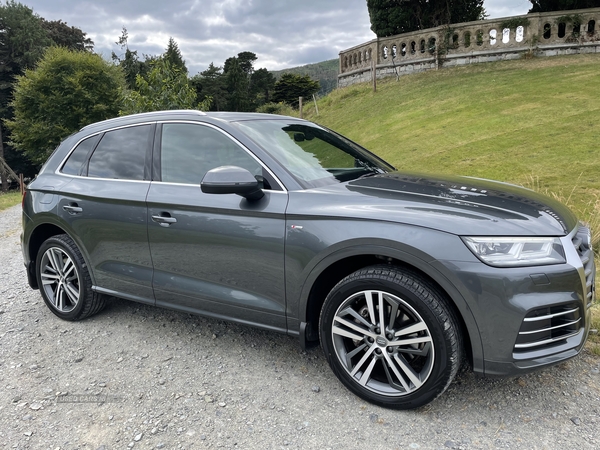 Audi Q5 DIESEL ESTATE in Down