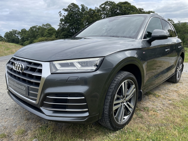 Audi Q5 DIESEL ESTATE in Down