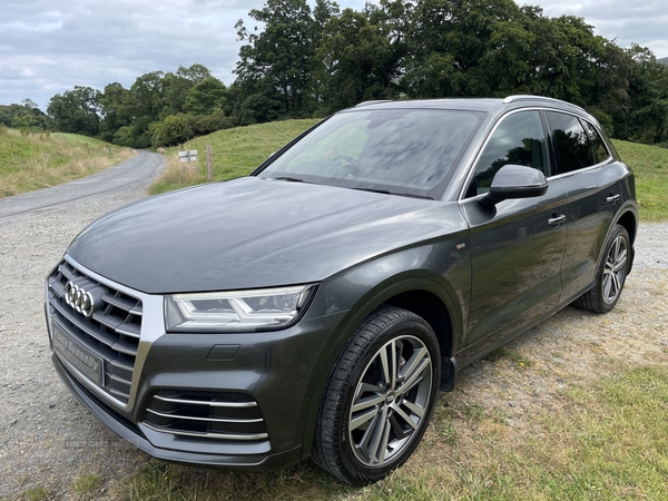 Audi Q5 DIESEL ESTATE in Down