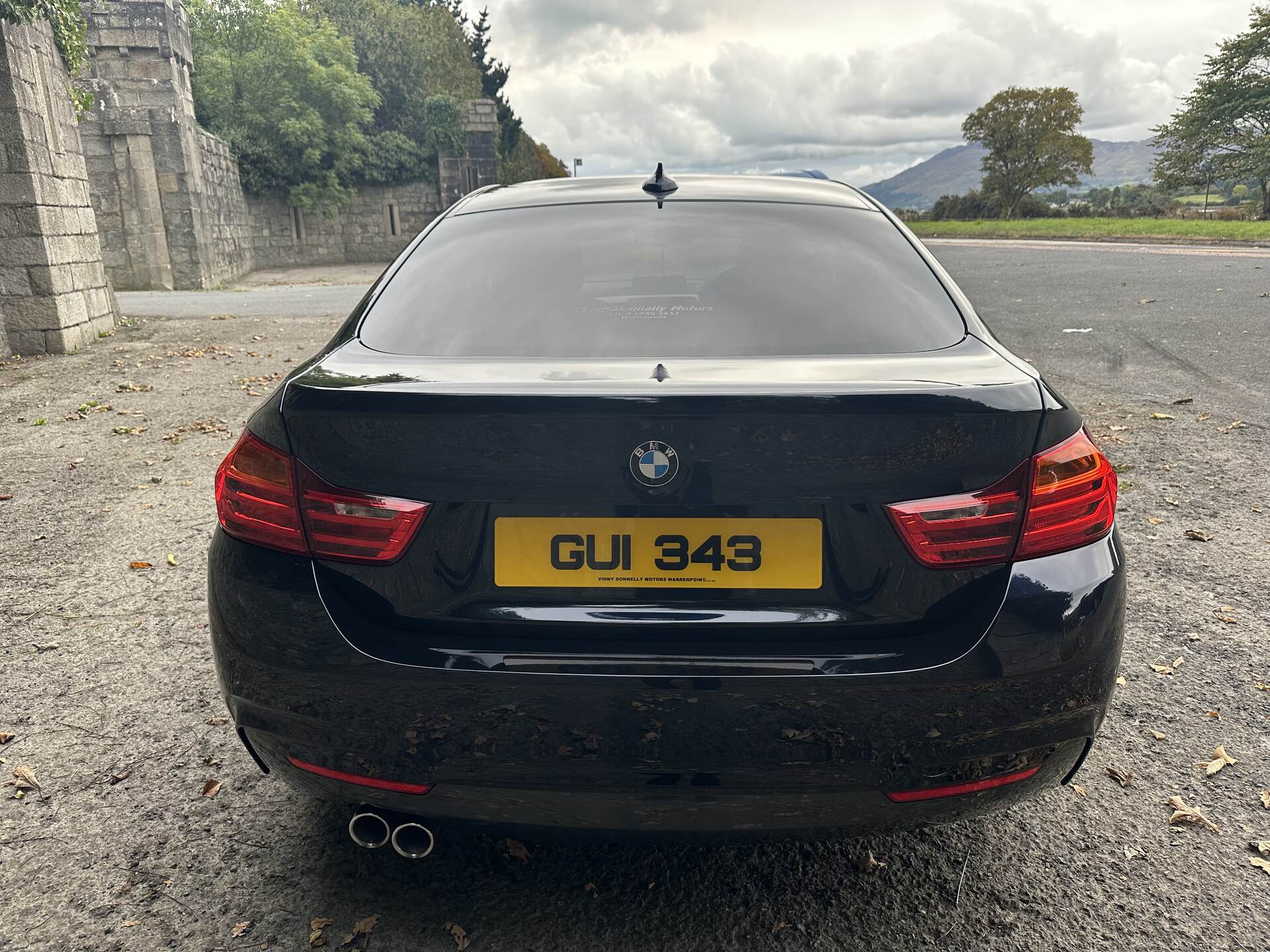 BMW 4 Series GRAN DIESEL COUPE in Down