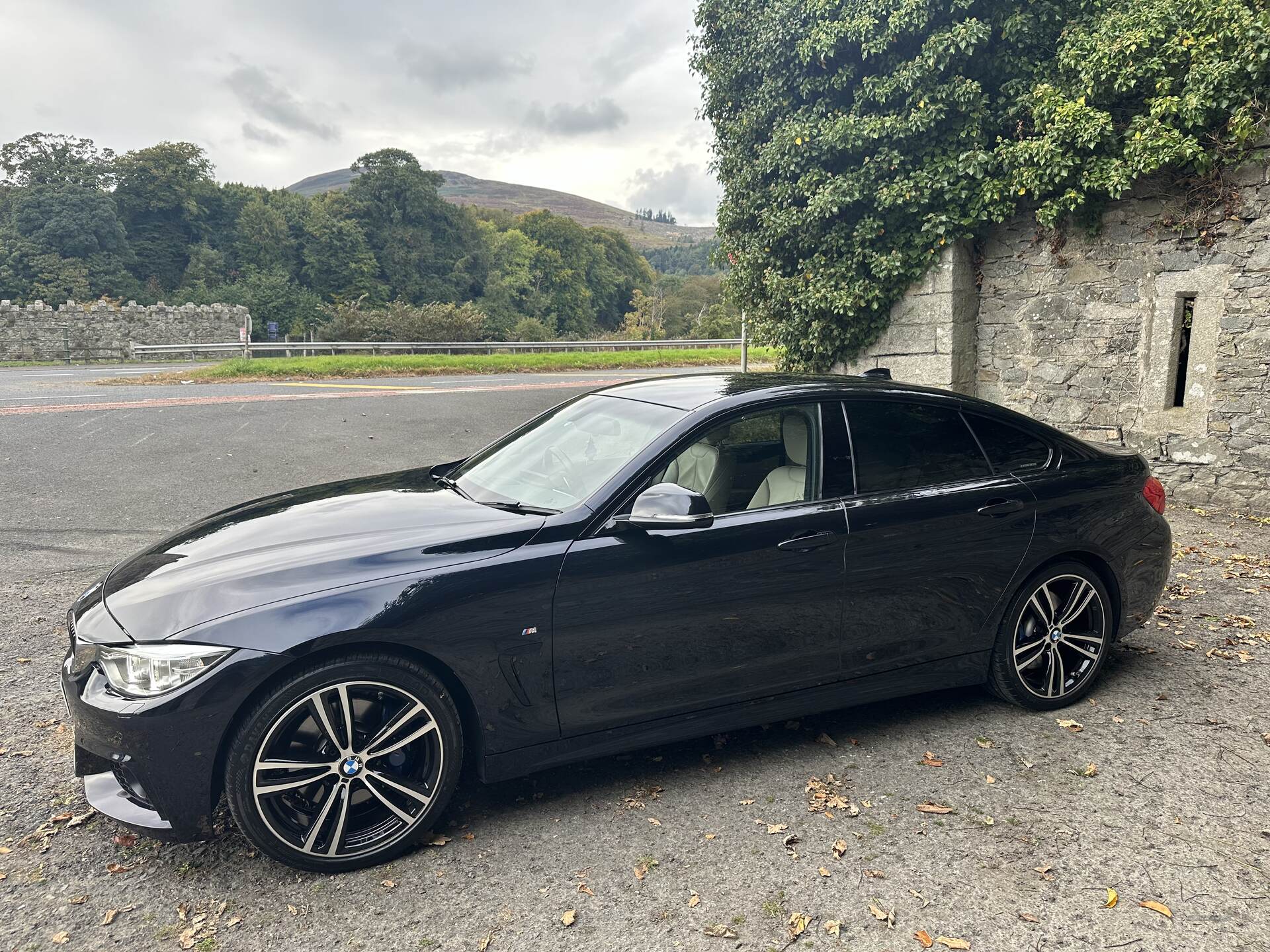 BMW 4 Series GRAN DIESEL COUPE in Down