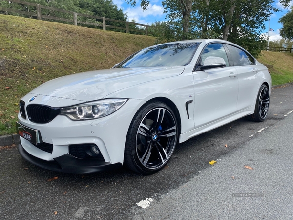 BMW 4 Series GRAN DIESEL COUPE in Down