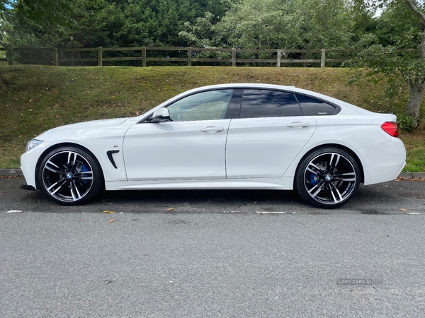 BMW 4 Series GRAN DIESEL COUPE in Down