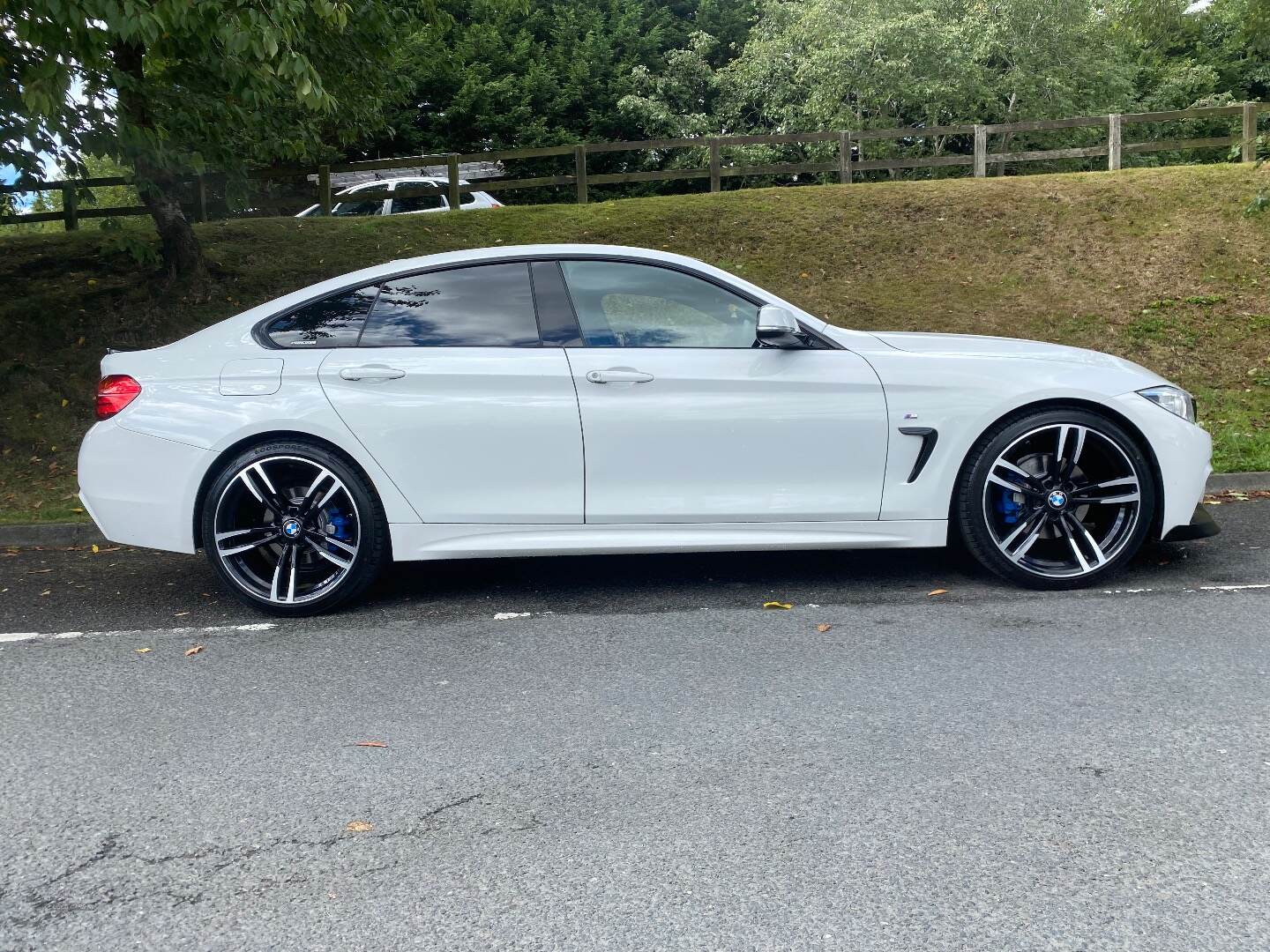 BMW 4 Series GRAN DIESEL COUPE in Down